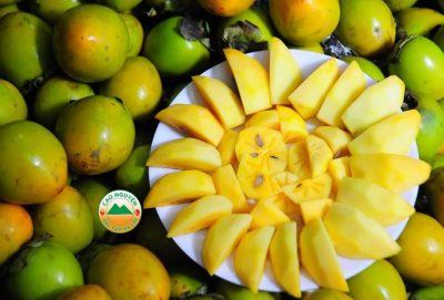 Khám phá món Hồng giòn Đà Lạt ngon tuyệt