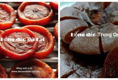 Cách phân biệt Hồng dẻo Đà Lạt và Trung Quốc