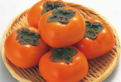 Chứng nhận 7 giống hồng Đà Lạt