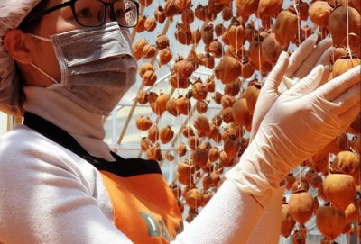 Tham quan vườn hồng treo gió Đà Lạt miễn phí