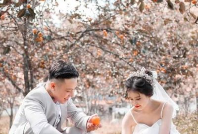 Hồng giòn Đà Lạt mua vào tháng máy thì ngon, mua ở đâu uy tín?