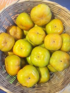 HỒNG GiÒN FUYU