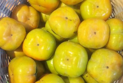 Thưởng thức hương vị đặc biệt từ Hồng Fuyu Đà Lạt