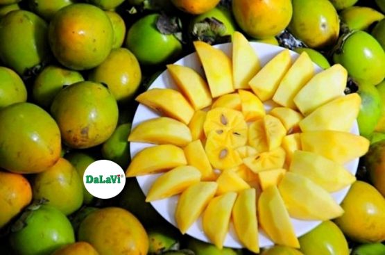 Chuyên sỉ hồng giòn Đà Lạt chất lượng cao, giá tốt cho các đối tác