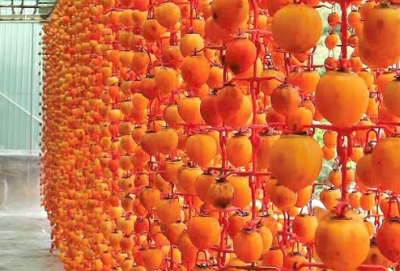 Những lưu ý khi mua trái hồng treo gió ở Đà Lạt