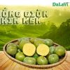 HỒNG GIÒN CHÍN NÊN