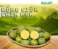 HỒNG GIÒN CHÍN NÊN