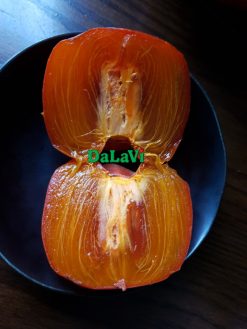 HỒNG TÁM HẢI ĐÀ LẠT