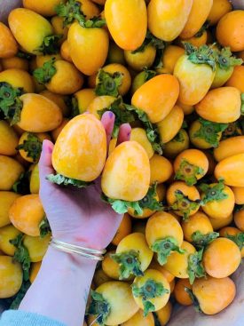 Chuyên sỉ hồng giòn Đà Lạt chất lượng cao, giá tốt cho các đối tác