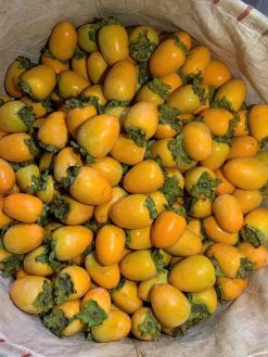 HỒNG GIÒN QUẾ HƯƠNG