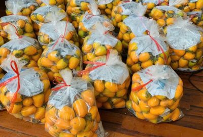Hồng giòn nào ngon nhất, tổng hợp các loại hồng giòn hiện nay