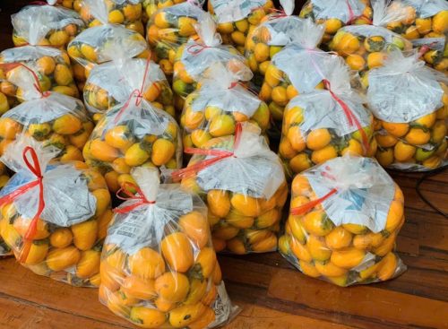 Chuyên sỉ hồng giòn Đà Lạt chất lượng cao, giá tốt cho các đối tác