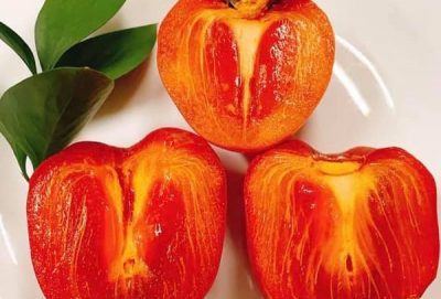 Tìm hiểu về Hồng tám hải Đà Lạt, hồng chín mềm