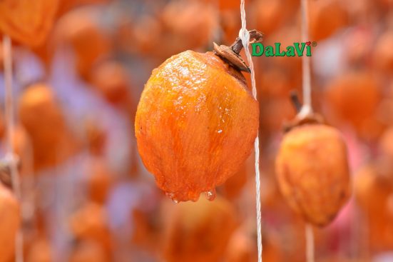 Hồng treo gió xuất khẩu, đảm bảo chính sách và giá tốt cho đối tác