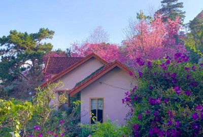 Mùa thu Đà Lạt ngọt ngào đến lạ thường