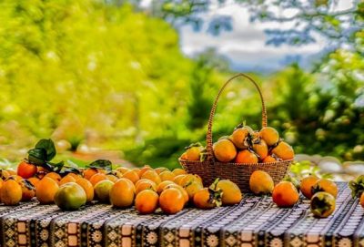 Top 5 điểm hái hồng chín Đà Lạt 2023