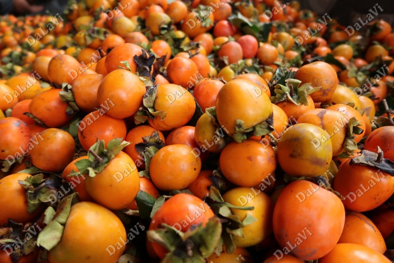 Phân biệt hồng treo gió ngon và hồng treo gió kém chất lượng