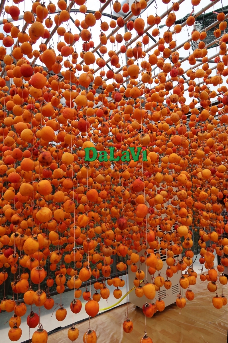  Giá 1kg hồng treo gió bao nhiêu, mua ở đâu đảm bảo hàng Đà Lạt